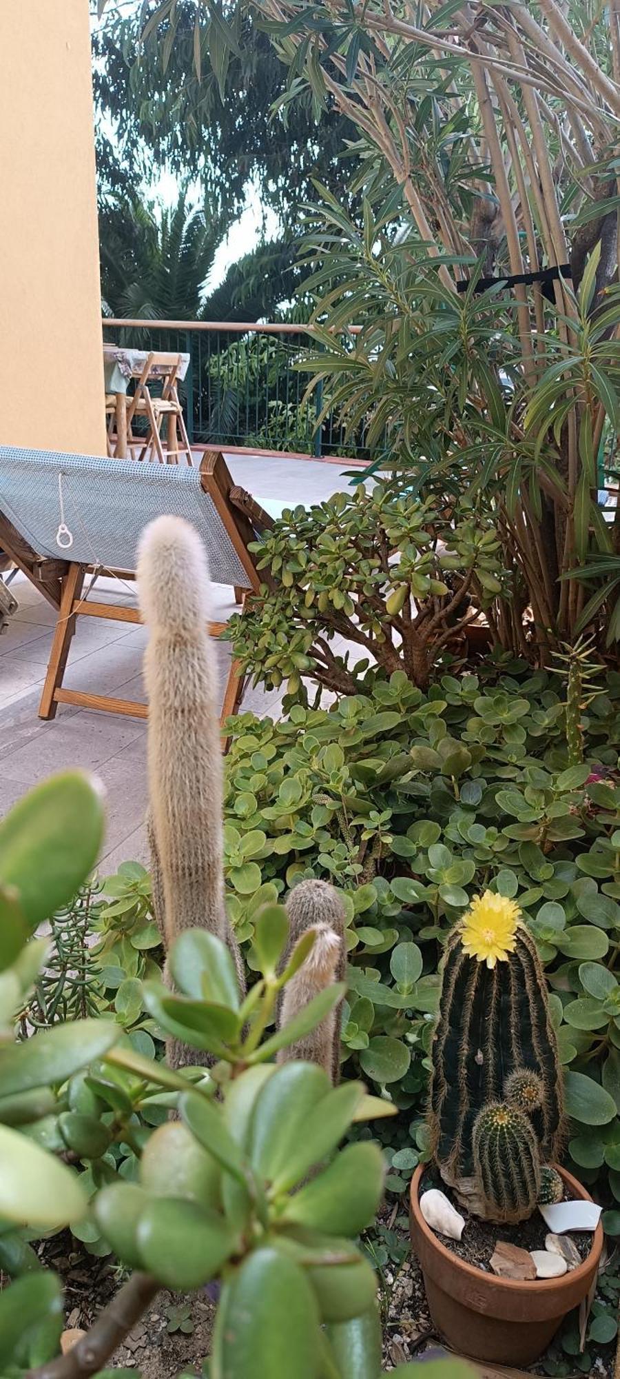 Ferienwohnung Casa Di Claude Con Posto Auto Finale Ligure Exterior foto